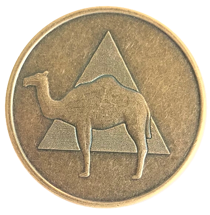 Camel Antique Bronze Aa Coin Alcoholics Anonymous Recovery Token Medallion Chip