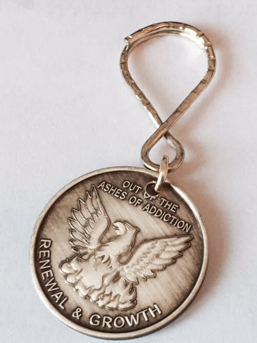 Our Of The Ashes Renewal Growth Serenity Prayer Key Chain Aa Medallion Chip Tag
