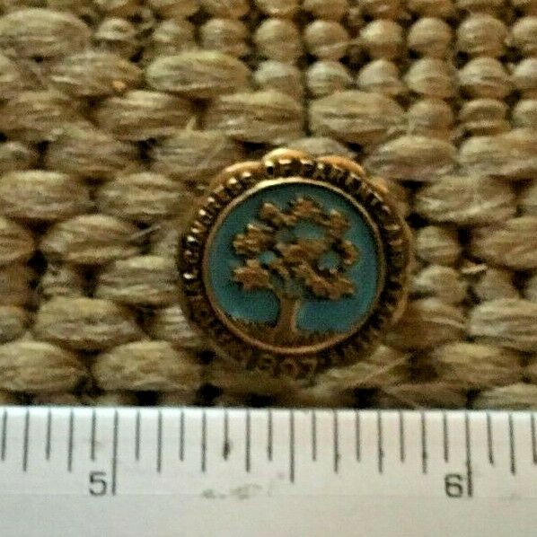 Vintage National Congress Of Parents And Teachers 1897 Gold Lapel Pin Tie Tack