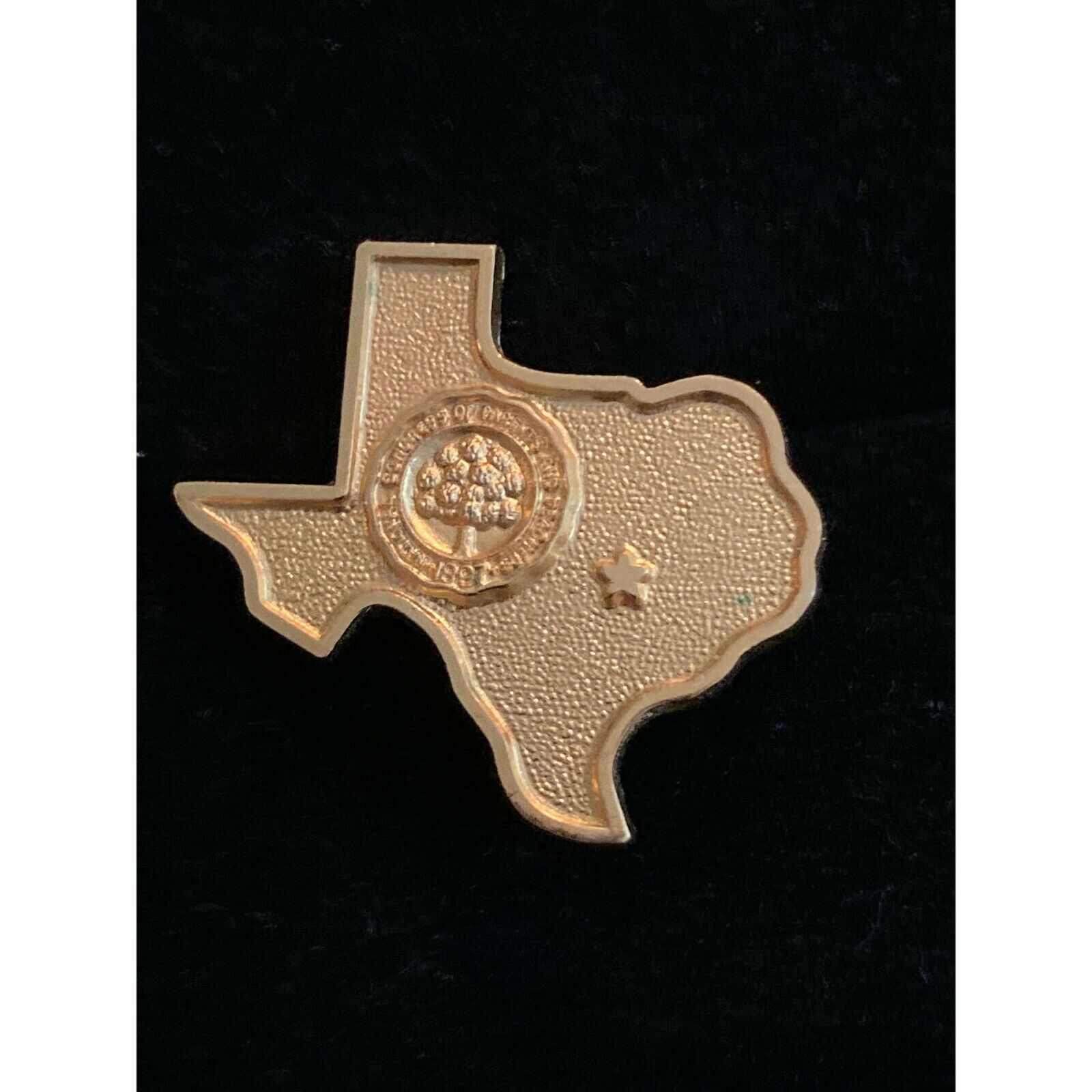 Rare 1897 National Congress Of Parents & Teachers Texas Shaped 1" Pin