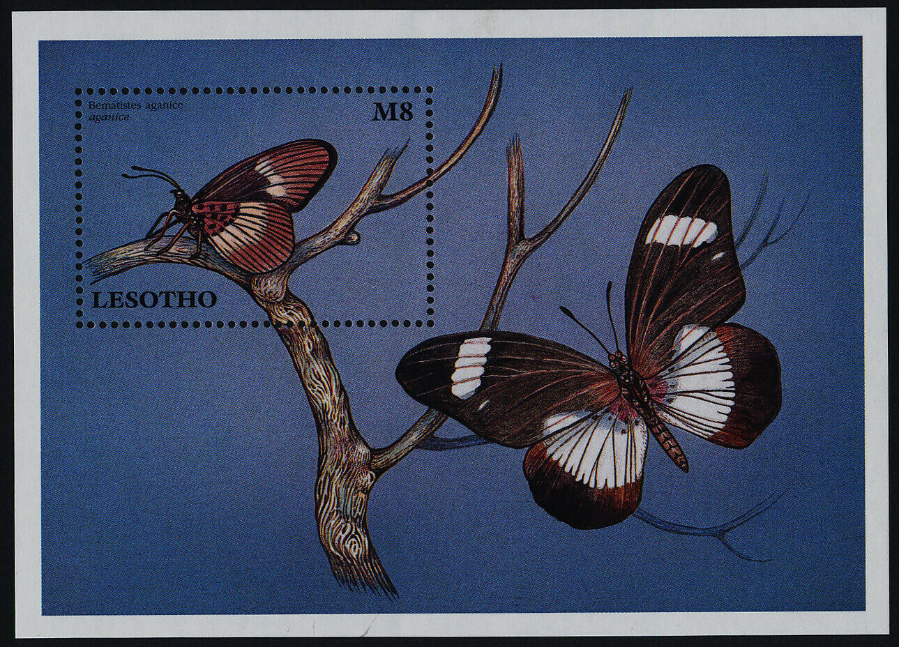 Lesotho 1081 Mnh Butterflies