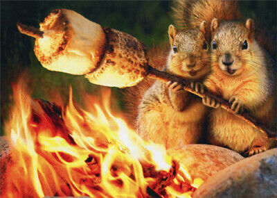 Squirrels Toasting Marshmallow Funny Anniversary Card By Avanti Press